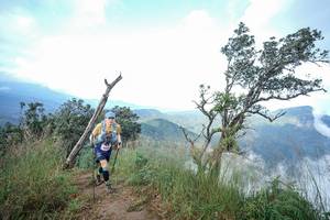 BIB: 
                            <button type="button" onclick="openModal(22372209)" class="btn btn-primary btn-sm float-right btn-popup" data-toggle="modal" data-target=".modal-high-quality">
                        <i class="fas fa-shopping-cart"></i> Add to Cart
                    </button>
                                            <button type="button" onclick="isThisMe(22372209, true)" class="btn btn-success btn-sm float-right btn-popup btn-isme hidden" data-toggle="tooltip" data-placement="bottom" title="นี่คือรูปของคุณใช่ไหม คลิกที่นี่เพื่อเอาเข้าอัลบั้ม">
                        <i class="fas fa-plus"></i> Add to album
                    </button>
                    <button type="button" onclick="isThisMe(22372209, false)" class="btn btn-warning btn-sm float-right btn-popup btn-isnotme hidden">
                        <i class="fas fa-ban"></i> Remove from album
                    </button>